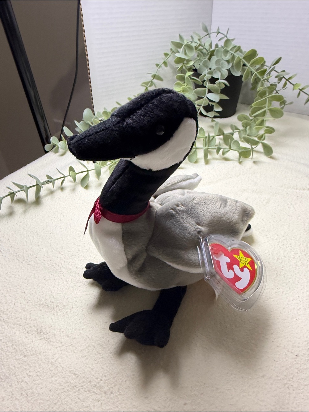 Ty Beanie Baby Loosy Goose 1998 Plush w/ Tag Protector Canada Goose 8”